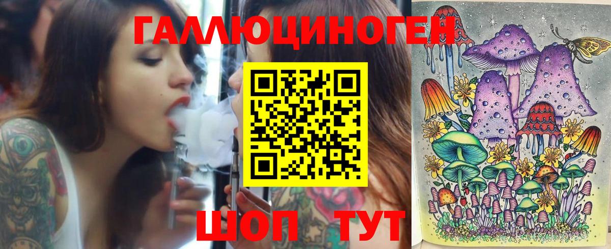 Псилоцибиновые грибы Psilocybe Химки