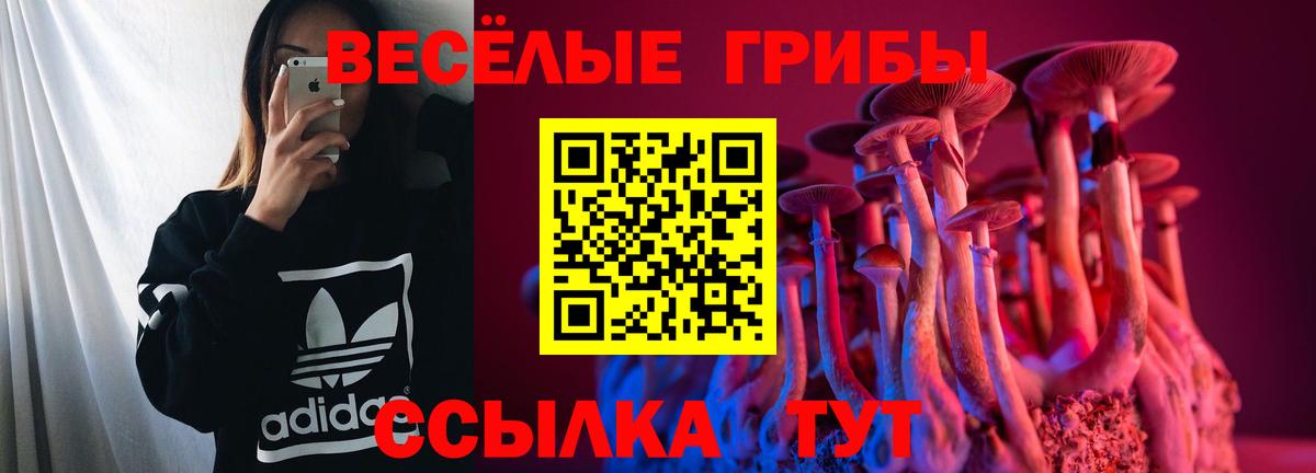 Химки  Галлюциногенные грибы ЛСД  Вход с VPN 